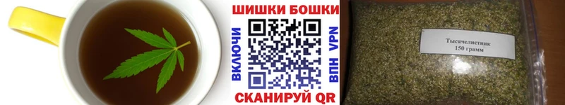 цены   Лыткарино  Canna-Cookies конопля 