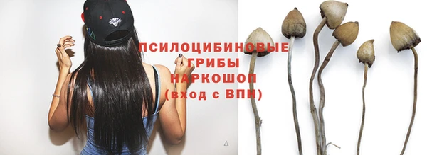 твердый Вязники
