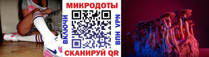 Псилоцибиновые грибы Psilocybe  это официальный сайт  Лыткарино  где купить наркотик 